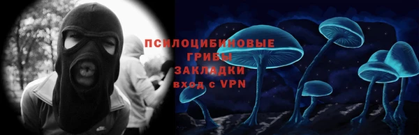 мет Ельня